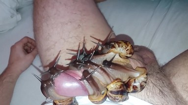 Порно Crazy. Как стать опорой для своей семьи