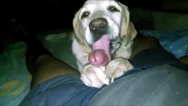 Порно Crazy. Дачные приключения с животными: лучшие идеи для выходных