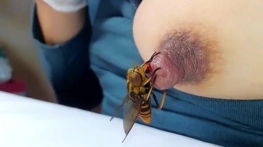 Порно Crazy. Как мы создаем семейные фотоальбомы