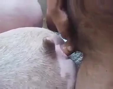 Порно Crazy. Как мы отмечаем День отца в кругу семьи