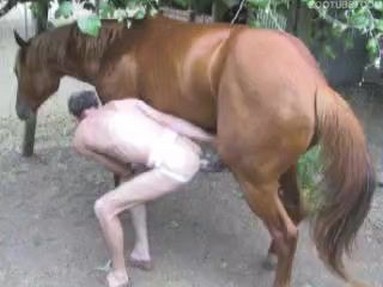 Порно Crazy. Как учить животных прощать друг друга