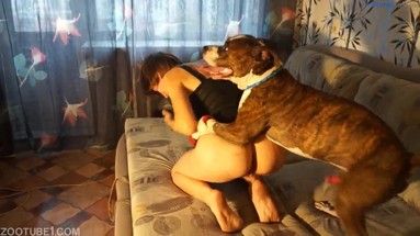 Порно Crazy. Моменты, которые делают нас сильными