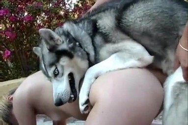 Порно Crazy. Парк, природа и улыбки: семейный день
