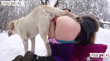 Порно Crazy. Идеи для семейных путешествий с животными