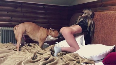 Порно Crazy. Забавные моменты с животными на отдыхе
