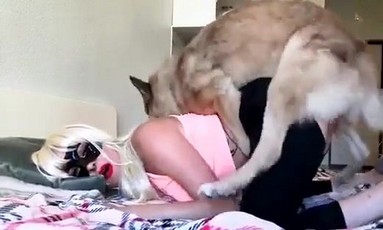 Порно Crazy. Как отметить праздник с семьей, если мало времени