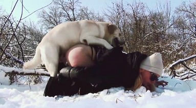 Порно Crazy. Семейная гармония: как наладить отношения между супругами